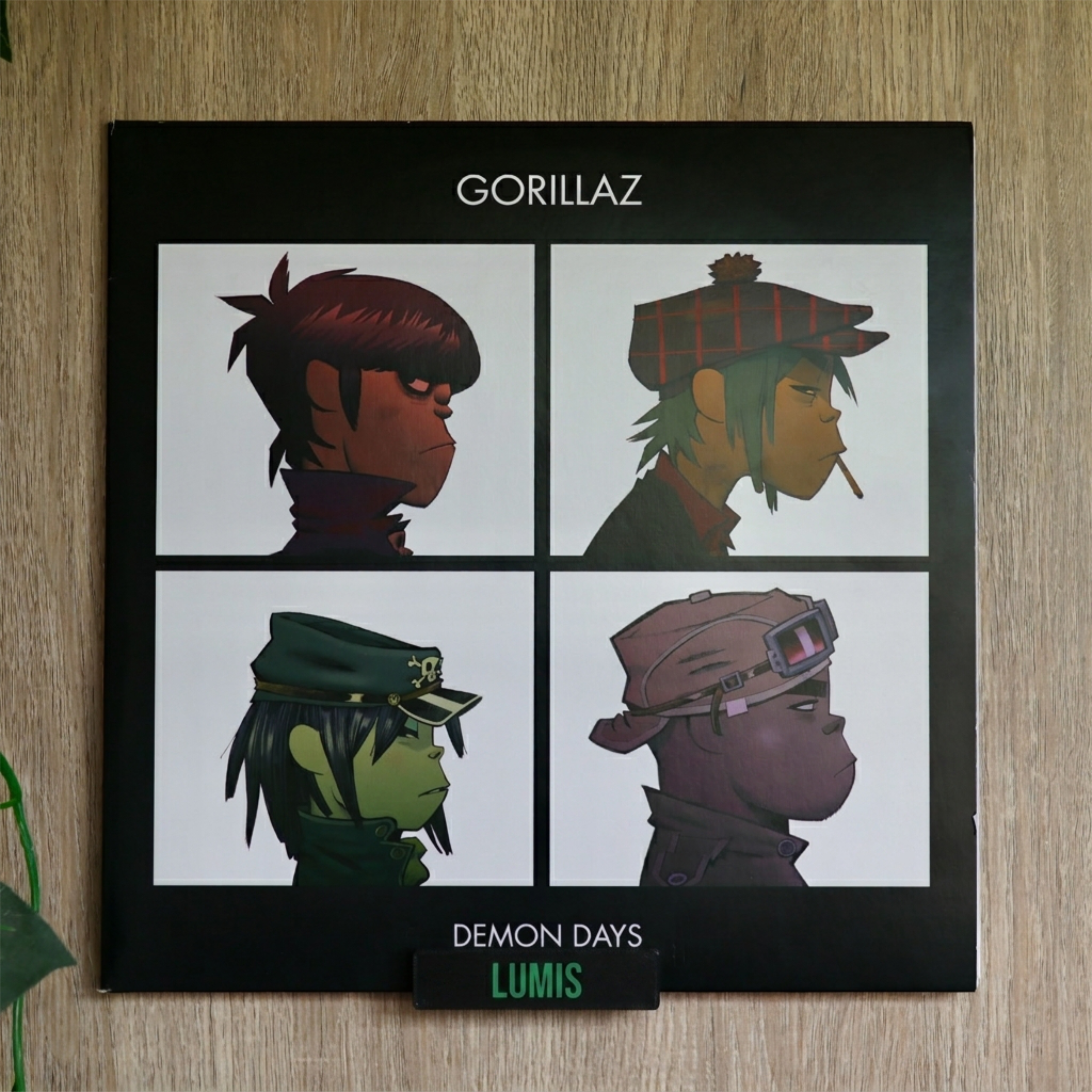 Vinyl Record Wall Mount Text