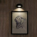 LED Spotlight
