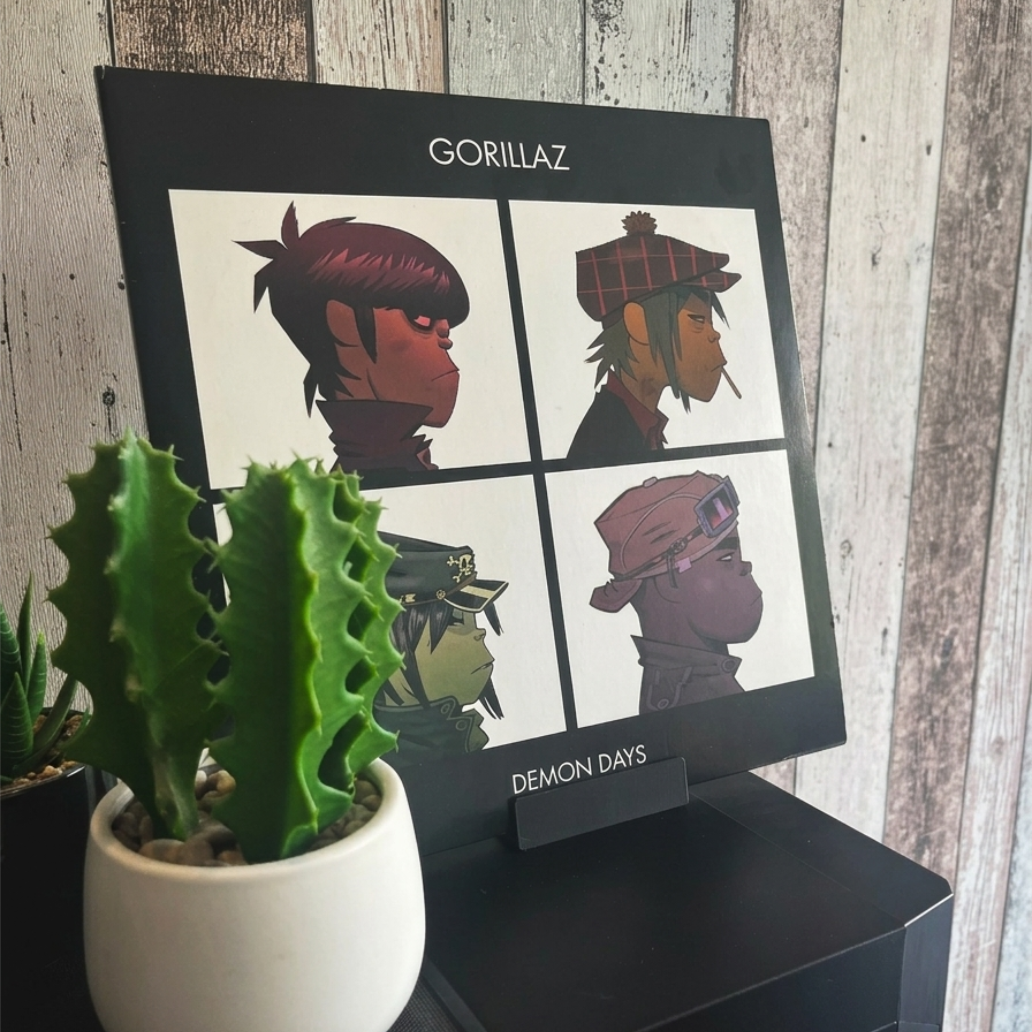 Vinyl Record Stand Minimalistic
