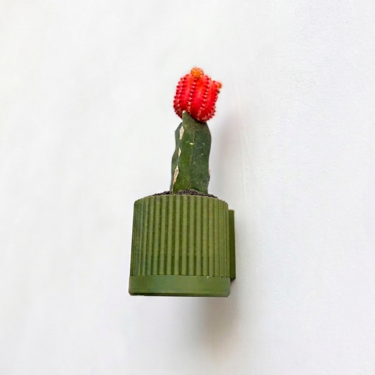 Plant Pot Single
